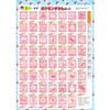  Pokemon Center Original Zukan Drill 5-Year-Old Numbers 