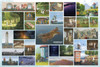 Yanoman Jigsaw Puzzle Moominvalley (1000 Pieces) 