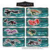 Takara Tomy TITLE TAKARATOMY -  - Takara Tomy Ania Collection How To Train Your Dragon DP-Box