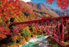 Jigsaw Puzzle The autumn leaves of Kurobe Gorge and the trolley train (1000 Pieces)