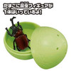 Takara Tomy Ania Egg Insect Collection
