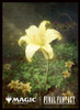 Magic: The Gathering - Final Fantasy Players Card Sleeve Secret Lair Drop Gold-Dusted Water Lily MFS-41