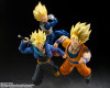 Bandai S.H.Figuarts Super Saiyan Vegeta Dangerous Pride Figure (Dragon Ball Z)