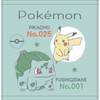 Other Pokemon WT Pikachu And Bulbasaur 