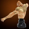  CCP BMC Kinnikuman Series No. 8 Mister Khamen Bust Figure 