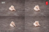  Snail Shell RPG-07 Angel Angela 1/12 Figure Optional Accessory - Foot Parts Set 