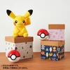  Pokemon Center Original Removable Decoration Tape Duskull Pichu Cleffa Wynaut 