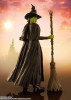  Bandai S.H.Figuarts Elphaba (Wicked) 