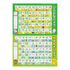 Pokemon Center Original Pokemon Pokedex Drill Japanese Language For School Entrance Preparation