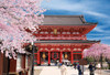 Beverly Jigsaw Puzzle Spring at Sensō-ji (300 Pieces) 
