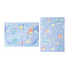  Pokemon Center Original A4 Clear File 2 Piece Set Little Daydream 