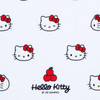 Sanrio Hello Kitty Face-Shaped Glasses Case 588199