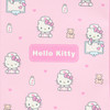 Sanrio Hello Kitty Medical Case M 585807
