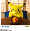 Takara Tomy 30th Anniversary Welcome Home Pikachu Plush