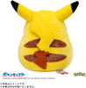 Takara Tomy 30th Anniversary Welcome Home Pikachu Plush