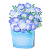 Sanrio Other Message Card Early Summer Nemophila JES 3-6 830348