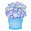 Sanrio Other Message Card Early Summer Nemophila JES 3-6 830348