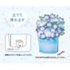 Sanrio Other Message Card Early Summer Nemophila JES 3-6 830348