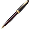 Fountain Pen Custom NS GD RM