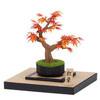 Kawada PS-14 Paper Nano 360 Bonsai Autumn Leaves