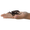 Takara Tomy Ania World Insect Battle Set 
