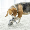  PET TOY Diamond Toothbrush Toy 