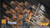  Medicos Super Action Statue Kenshiro Figure (Fist of the North Star) 