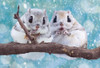 Beverly Jigsaw Puzzle Soft and Fluffy Ezo Flying Squirrel (300 Pieces) 