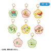 Pokemon Center Original Acrylic Keychain Collection Midarezaki