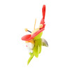  Pokemon Center Original Tiny! Mascot Midarezaki Flabebe (Red Flower) 