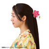  Pokemon Center Original Hair Buns Midarezaki Maractus 