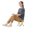  Pokemon Center Original Logos 7075 Cubic Chair Bulbasaur 