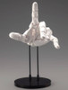  Kotobukiya 1/1 Artist Support Item Hand Model Men's/L -White- 