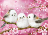 Beverly Jigsaw Puzzle Shimaenaga Spring News (600 Pieces) 