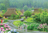 Beverly Jigsaw Puzzle Hydrangeas Blooming in Miyama Town (1000 Pieces) 