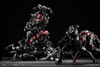 Other SEXYICE Insect series Artificial Evolution Experimental Subject B006 Ari Ant 