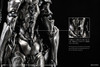 Other SEXYICE Insect series Artificial Evolution Experimental Subject B006 Ari Ant 