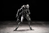 Other SEXYICE Insect series Artificial Evolution Experimental Subject B006 Ari Ant 