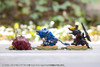 Kotobukiya Zoids D-Style Command Wolf Irvine [Clear Parts Append] Plastic Model