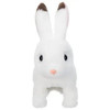 Other Flapping Ears Little Bunny Yukki Plush Toy 
