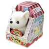 Other 3324-4 Piccoline Chihuahua