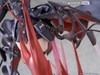  FuRyu 1/7 Entelechia Elite 2 VER. (Arknights) 