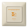 Pokemon Center Original Square Plate Pokemon Timeless Adventure