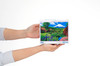 Jigsaw Puzzle - Oshino Fuji (300 Pieces)