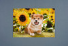 Jigsaw Puzzle - Made In Japan Beverly Sunflowers And Me (300 Pieces)