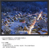 Jigsaw Puzzle - Made In Japan Japanese Scenery Shirakawa Go Illuminated Gifu (500 Pieces)