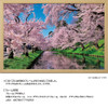 Jigsaw Puzzle - Made In Japan Japanese Scenery Cherry Clouds Of Hirosaki Park Aomori (1000 Pieces)