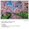 Jigsaw Puzzle - Made In Japan Japanese Scenery Cherry Clouds Of Hirosaki Park Aomori (1000 Pieces)