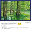 Jigsaw Puzzle - Japanese Scenery Mysterious Forest Bald Cypress Fukuoka Included S (1000 Pieces)