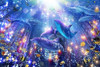 Jigsaw Puzzle - Lassen Aquatic Congregation (1000 Pieces)